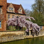 cambridge