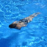 sécurité piscine