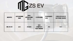 Tableau informationnelle de la MG ZS EV