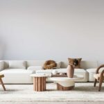 Décoration du salon